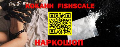 индика Шелехов