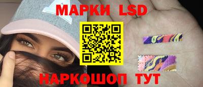 гидра Шахты