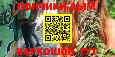 индика Шелехов