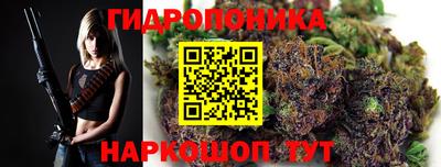 гидра Шахты