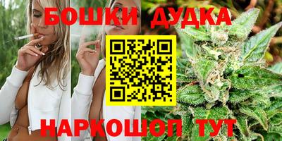индика Шелехов