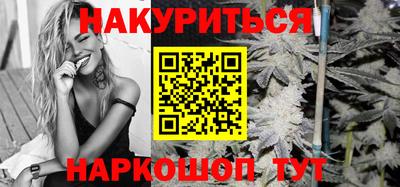 индика Шелехов