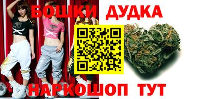 индика Шелехов