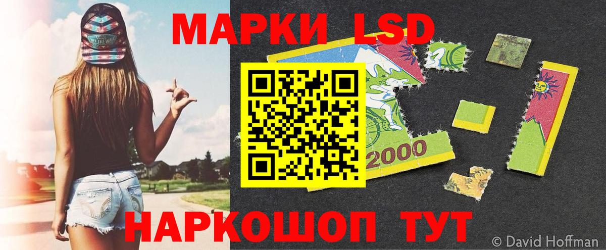 Наркотические марки 1,5мг Губкин