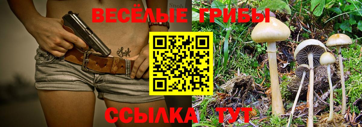 Галлюциногенные грибы MAGIC MUSHROOMS Губкин
