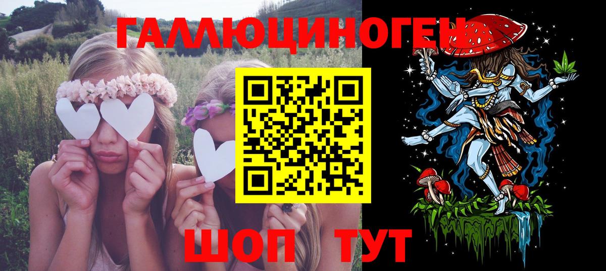 Губкин  Галлюциногенные грибы Psilocybe  Вход с VPN 